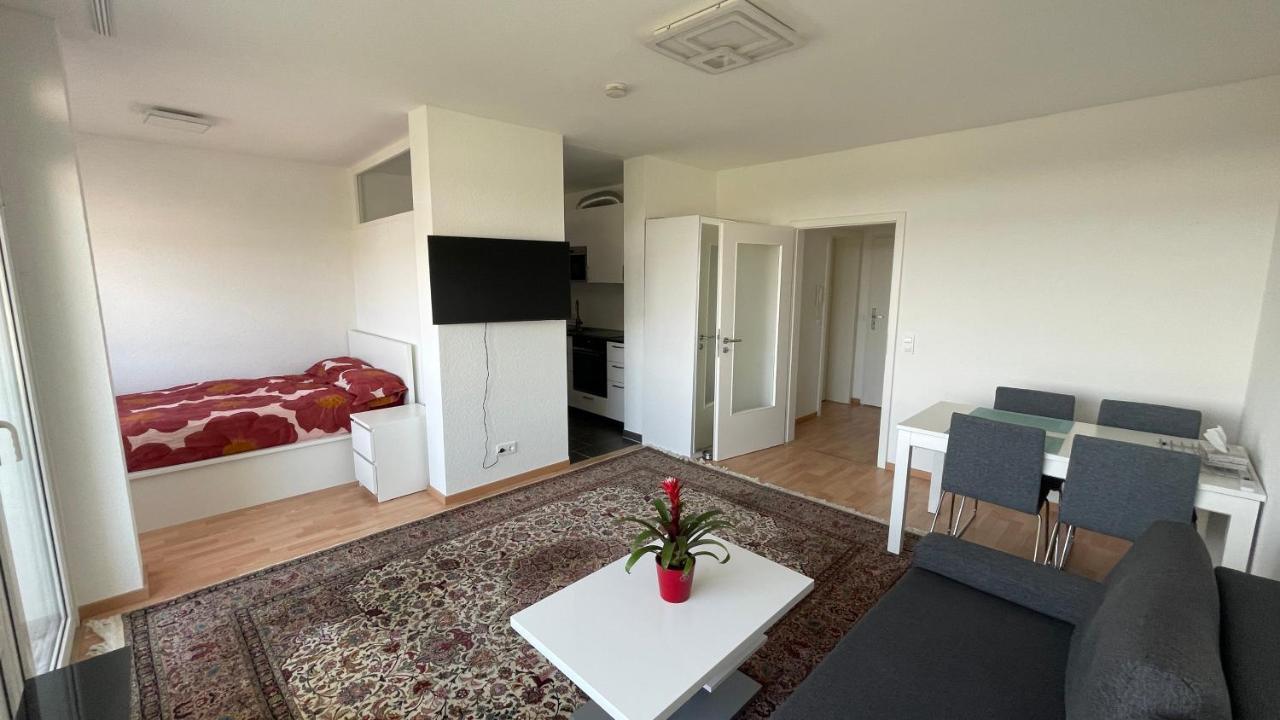 1,5 Zimmerwohnung In Heidelberg Kültér fotó