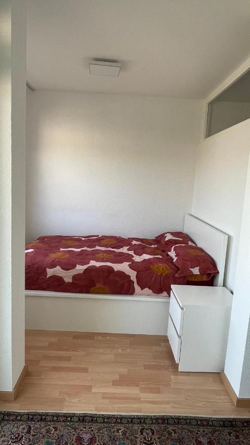 1,5 Zimmerwohnung In Heidelberg Kültér fotó